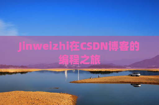 Jinweizhi在CSDN博客的编程之旅